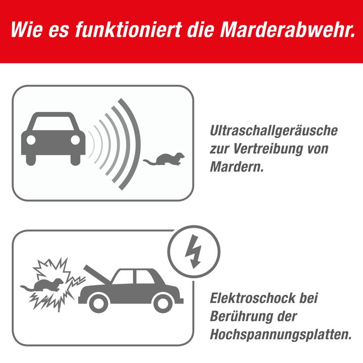 Immagine prodotto Swissinno Marder-Stop KFZ 12DC
