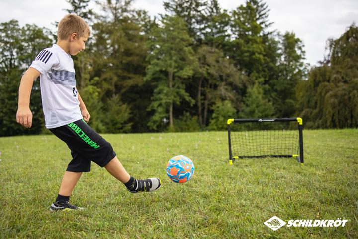 Actual product image Schildkröt Beachsoccer
