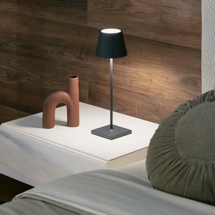 Immagine prodotto Zafferano Poldina Pro (200 lm)