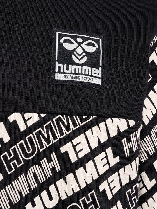 Produktbild hummel hmlCAMERON HOODIE (134)