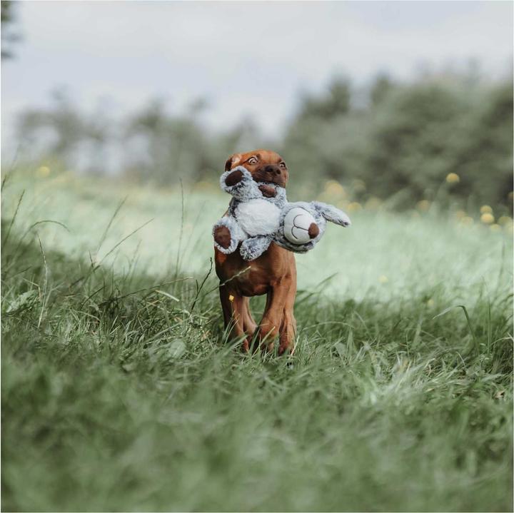 Image du produit Hunter Jouet pour chien Faro (Jouet en peluche chien)
