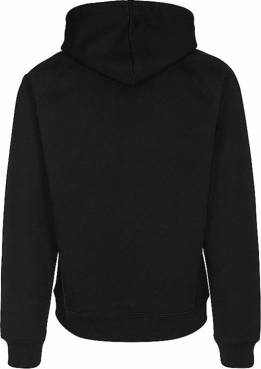 Actual product image Carhartt Kapuzensweater (L)