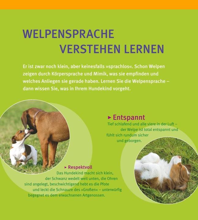 Produktbild Welpen-Erziehung (Deutsch, Katharina Schlegl-Kofler, 2010)