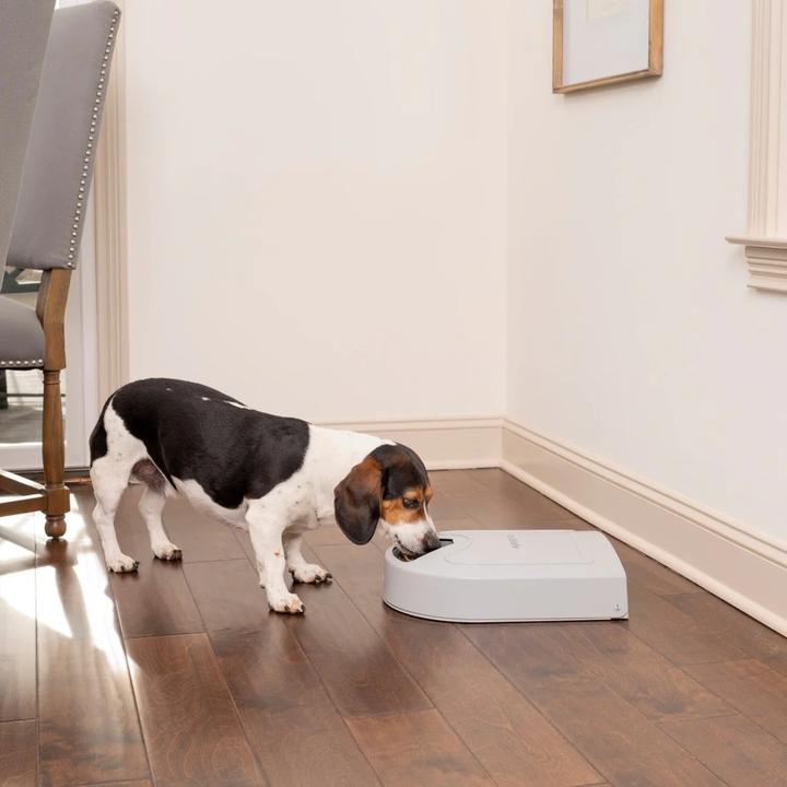 Produktbild PetSafe Futterautomat (0.20 l)