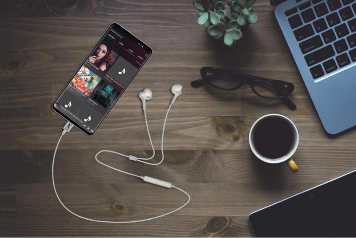 Immagine prodotto Akashi Cuffie in-ear USB-C (Cablato)