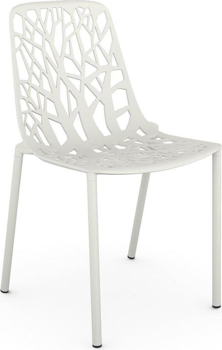 White 1