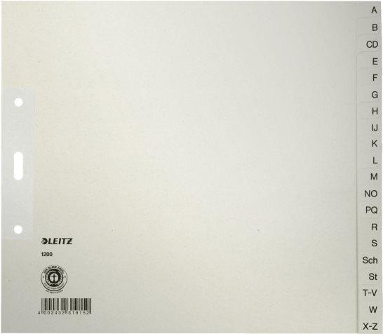 Actual product image Leitz Register paper gray