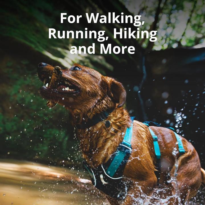 Image du produit Ruffwear Harnais Flagline (XS, Chien, Général)