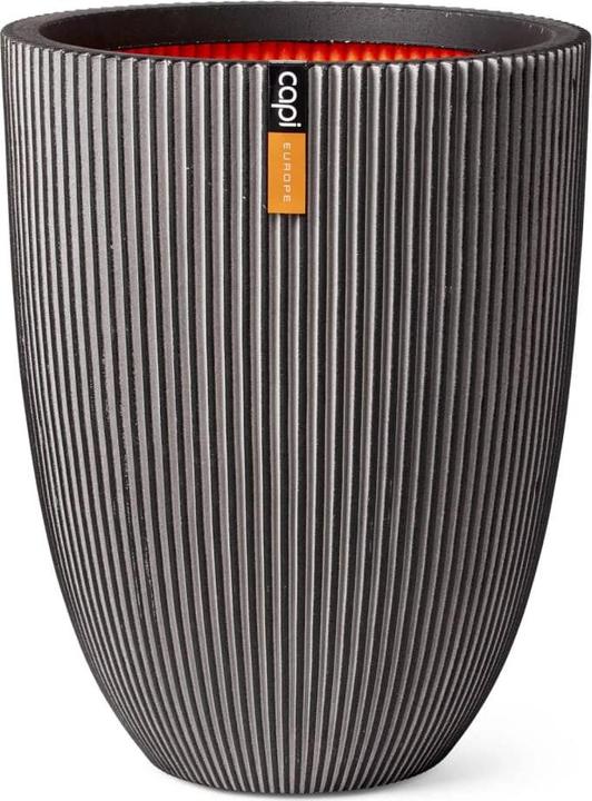 Actual product image Capi Romain (34 x 46 cm)