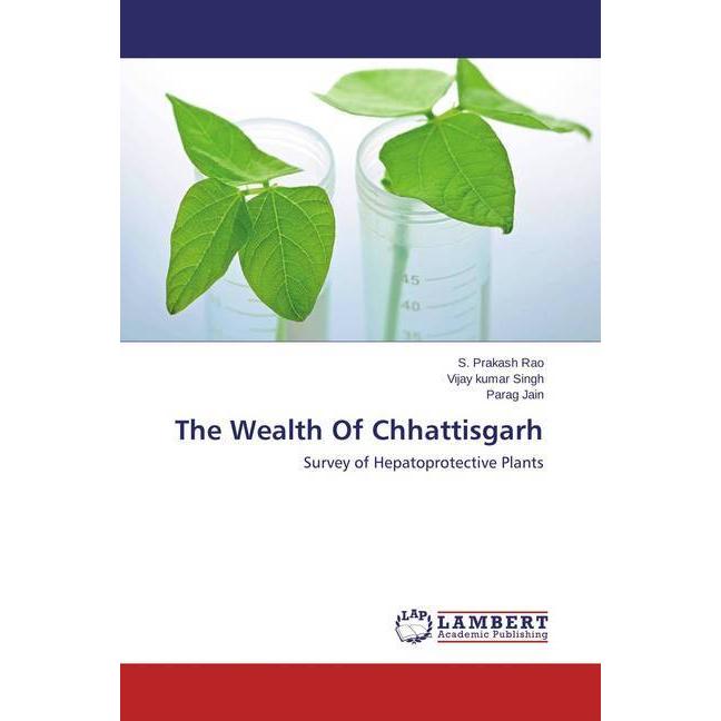 The Wealth Of Chhattisgarh, Fachbücher von Vijay Kumar Singh, S. Prakash Rao, Parag Jain