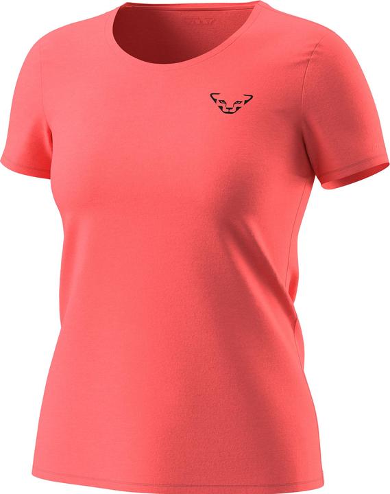 Actual product image Dynafit 24/7 Graphic T-Shirt (L)