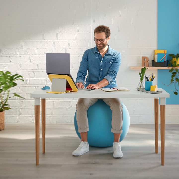 Actual product image Leitz Sitting Ball Ergo Cosy (65 cm)