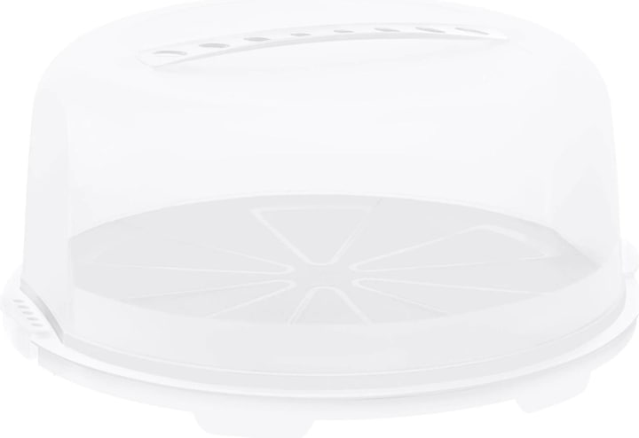 Actual product image Rotho Cake bell