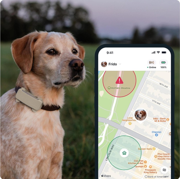 Immagine prodotto Tractive GPS Tracker Dog 6 (Cane)