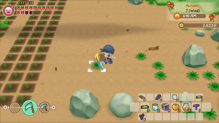 Actual product image Marvelous Story of Seasons: Friends of Mineral Town (Switch, DE)