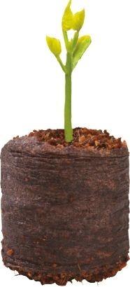 Image du produit Garland Kokos Quelltopf, Set à 20 Stk.