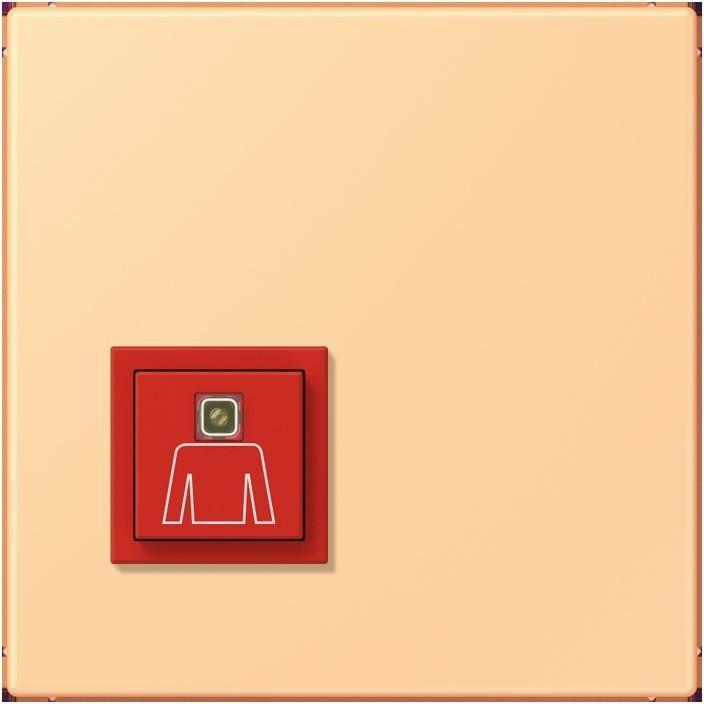 Actual product image JUNG Call button