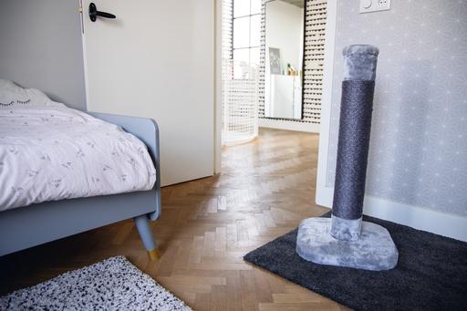 Actual product image Beeztees Bz scratching post Wumblo (80 cm, Grey)