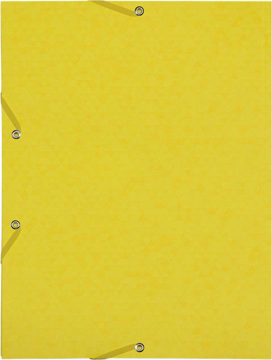 Actual product image Oxford TOP FILE+ corner binder, A4 (A4, 1x)