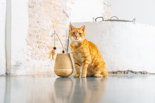 Immagine prodotto Designed by Lotte Tumble Mae (Catmint giocattolo)