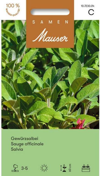 Immagine prodotto Samen Mauser Sage (Semi di erbe)