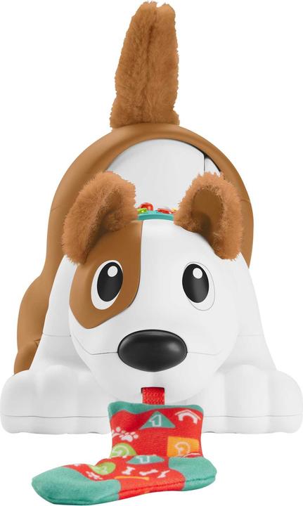 Image du produit Fisher-Price 123 Crawl With Me Puppy-DU