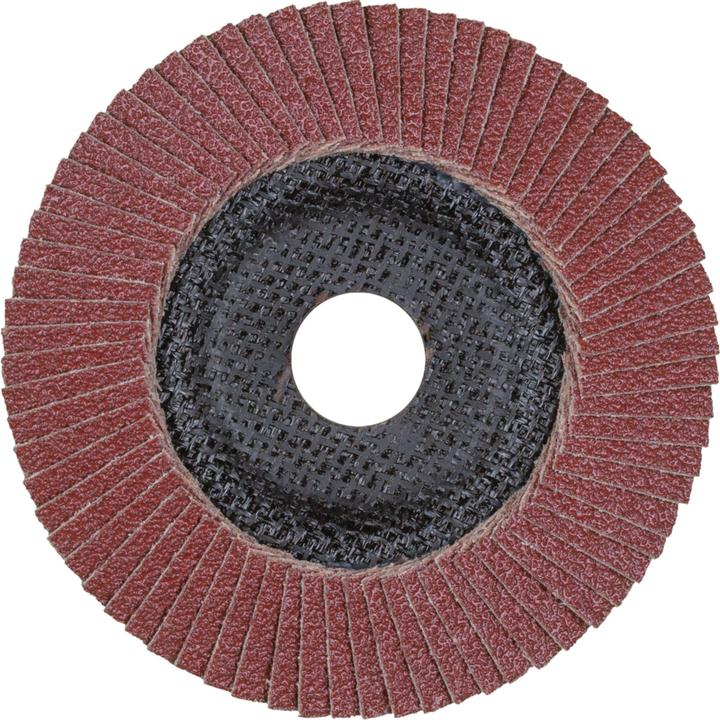 Produktbild Pferd Fächerschleifscheiben Polifan A-Plus (80)