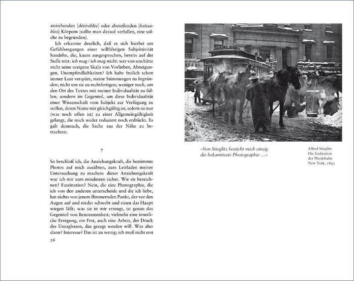 Produktbild Die helle Kammer (Deutsch, Roland Barthes, 2009)