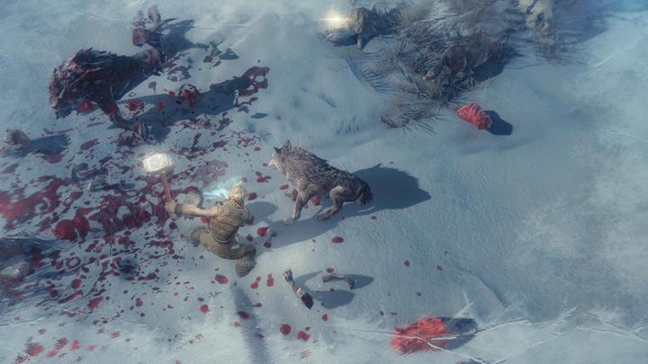 Actual product image Vikings: Wolves of Midgard (Special Edition) (Import) (PS4, DE)