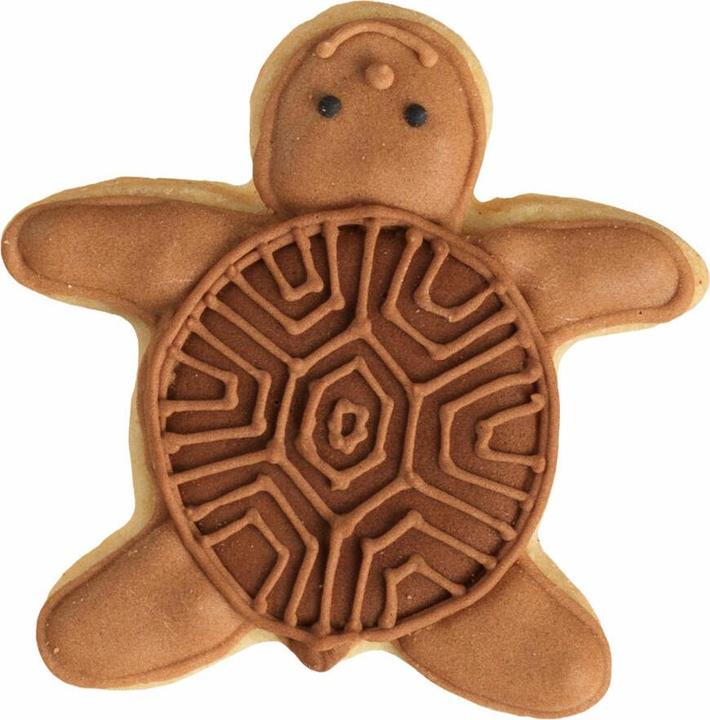 Produktbild Birkmann Schildkröte