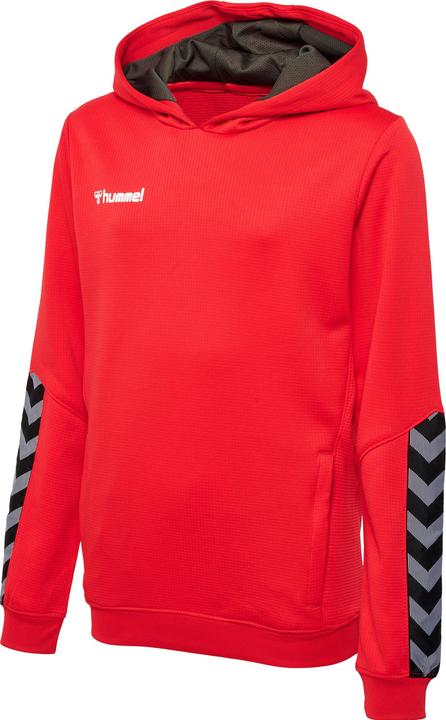 Actual product image hummel Authentic Kids Poly Hoodie (116)