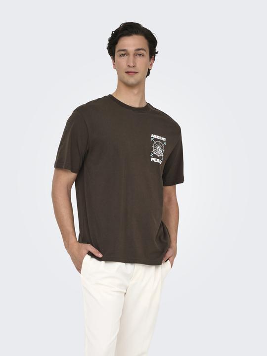 Produktbild Only & Sons Onskeane Rlx Ss Print Tee Noos (XS)