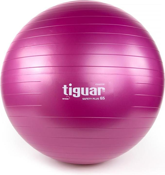 Actual product image Tiguar Gym ball Safety Plus, 65cm (65 cm)