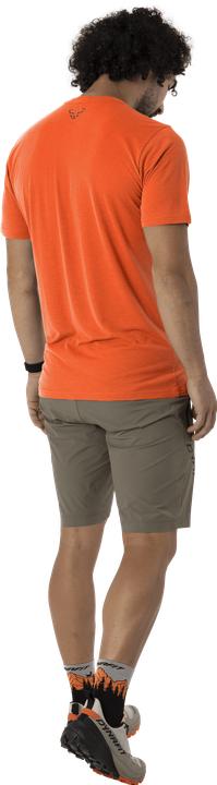 Actual product image Dynafit Transalper Graphic Shirt Herren (S)