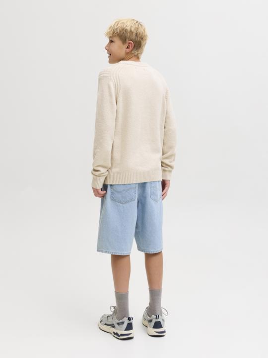 Image du produit Jack & Jones Junior Hose ALEX Shorts (152)