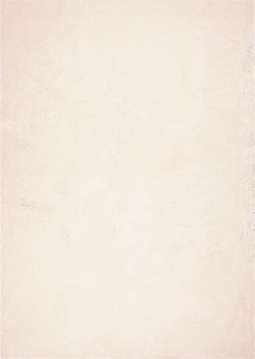 Produktbild vidaXL Teppich (340 x 240 cm)