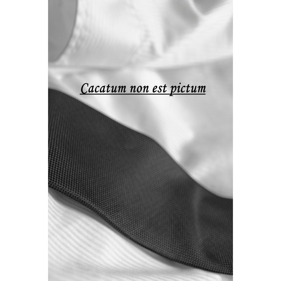 Cacatum non est pictum, Belletristik von Askson Vargard