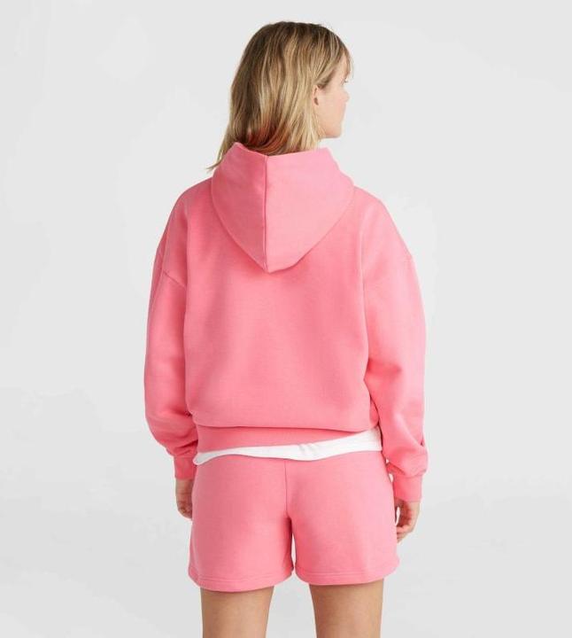 Produktbild O'Neill Future Surf Society Hoodie (M)