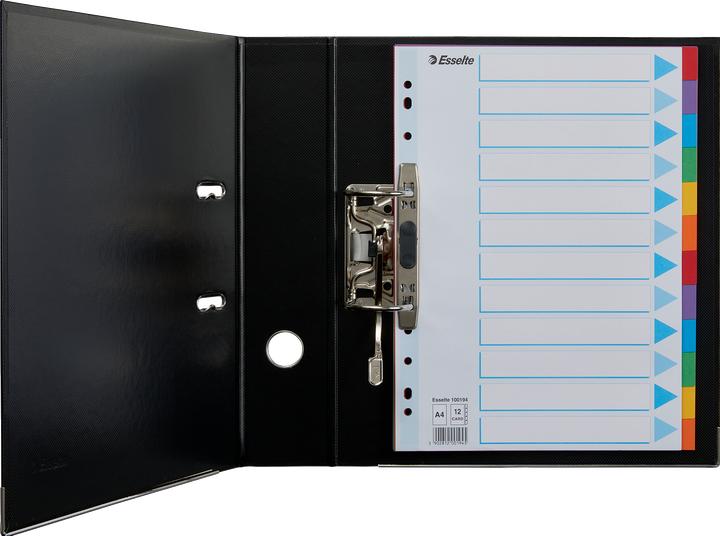 Actual product image Esselte Register cardboard colored