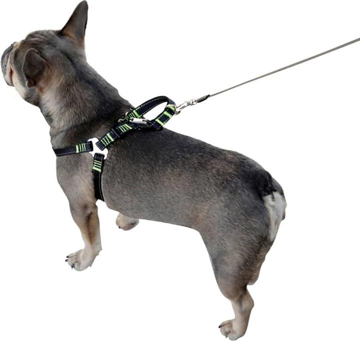 Produktbild Kerbl Autosicherheitsgeschirr (Hund, Faltbar, Sicherheitsverschluss)