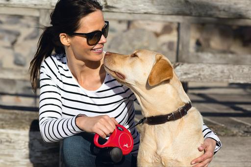 Immagine prodotto Flexi Nuova cintura classica (S, Cane, Passeggiare)