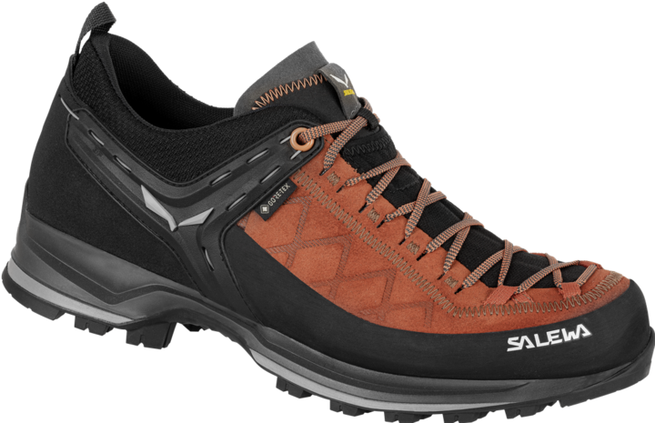 Produktbild Salewa Mountain Trainer 2 GORE-TEX® schuhe (46.5)