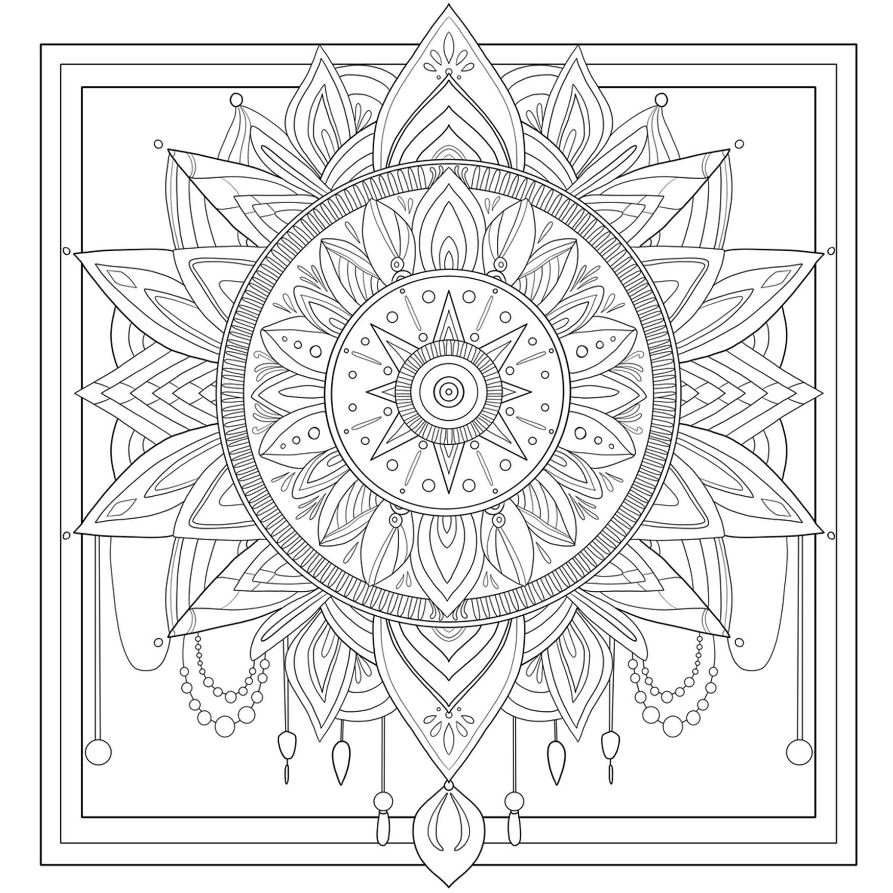 Thumbnail - Frech Colorful World - Kraftvolle Mandalas