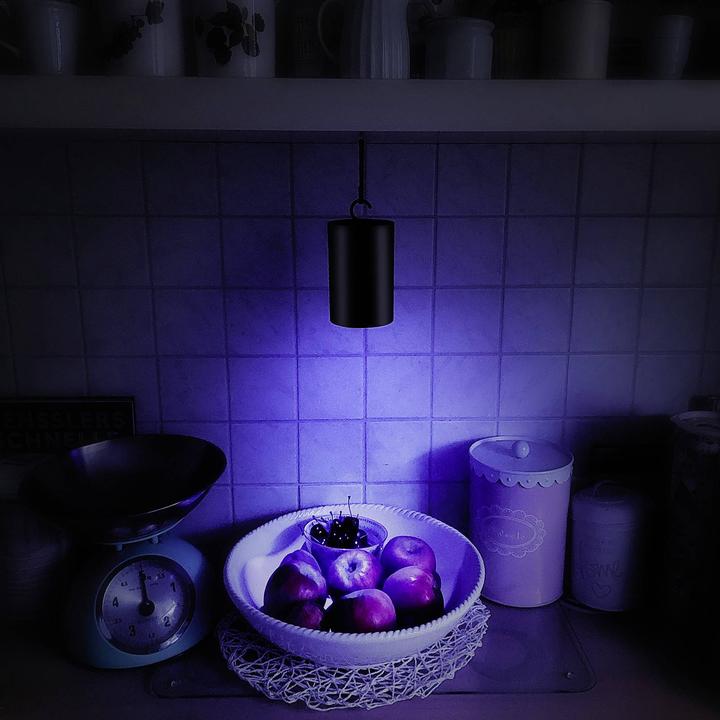 Productafbeelding Gardigo 62420INT Klebefolie, UV-Licht UV-Klebefalle (Ø x H) 8 cm x 15 cm Schwa