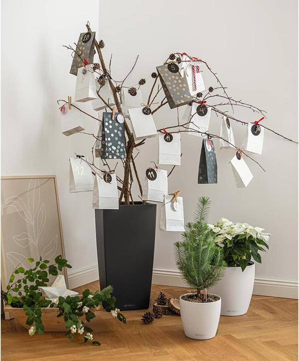 Produktbild Lechuza Cubico (39.50 cm)