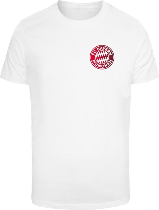 FC Bayern München Mia San Mia V GR T-shirt Round Neck - 115593 (L)