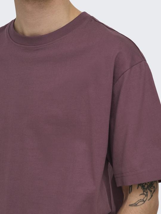 Produktbild Only & Sons Onsfred Life Rlx Ss Tee Noos (S)