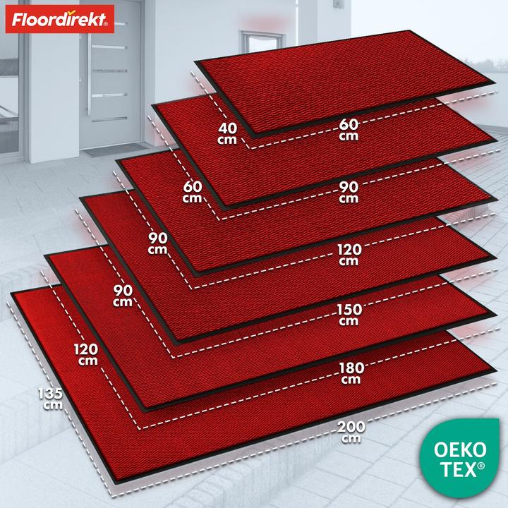 Produktbild Floordirekt Schmutzfangmatte SKY Novo (60 x 90 cm)