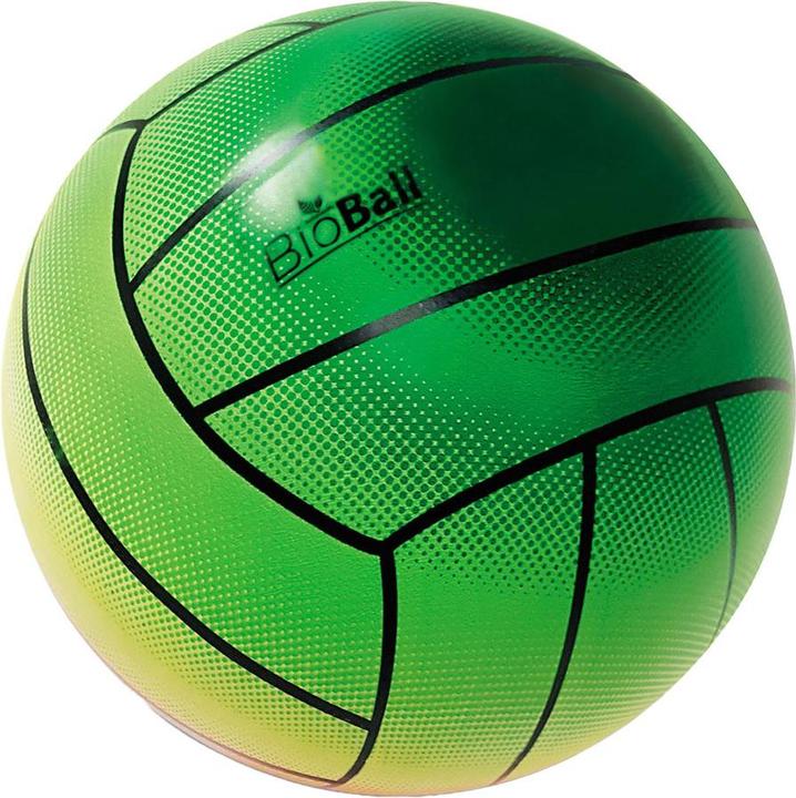 Mondo Balloon Volley Pixel Bio 21cm (4)
