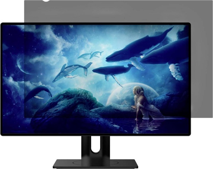 Immagine prodotto Renkforce RF-6026098 (27", 16 : 9)